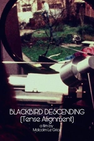 Blackbird Descending - Tense Alignment watch Blackbird Descending - Tense Alignment