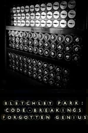 watch Bletchley Park: Code-breaking's Forgotten Genius