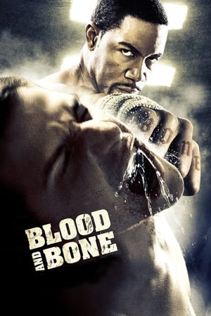 Blood and Bone watch Blood and Bone