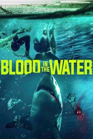 Blood in the Water watch Blood in the Water