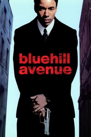 watch Blue Hill Avenue