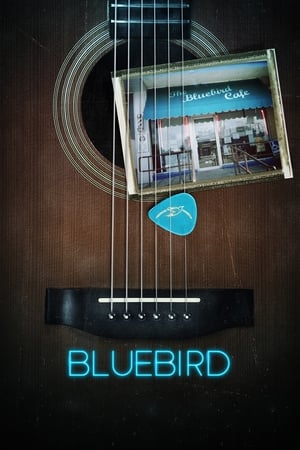 Bluebird watch Bluebird