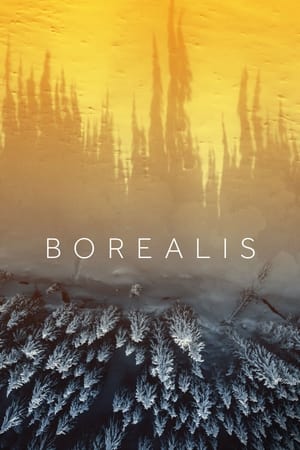 Borealis watch Borealis