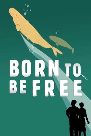 Born to Be Free watch Born to Be Free