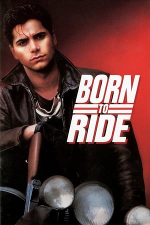 watch Born to Ride