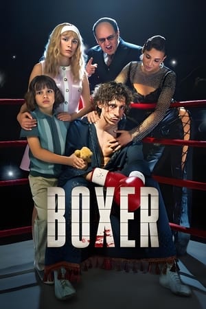 Boxer watch Boxer
