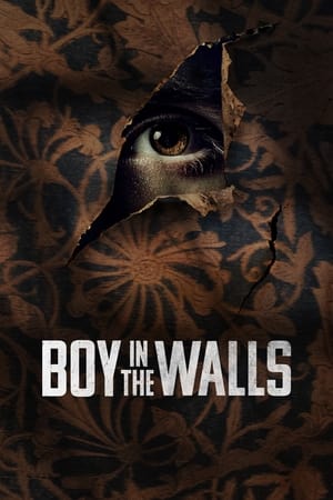 Boy in the Walls watch Boy in the Walls