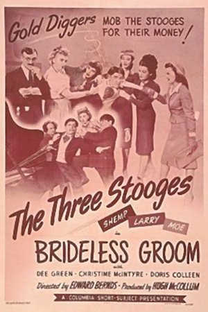 watch Brideless Groom