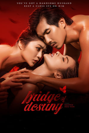 Bridge of Destiny watch Bridge of Destiny