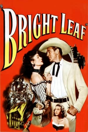 watch Bright Leaf