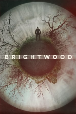 Brightwood watch Brightwood