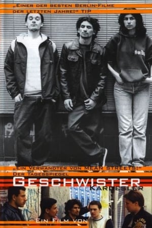 Brothers and Sisters watch Brothers and Sisters