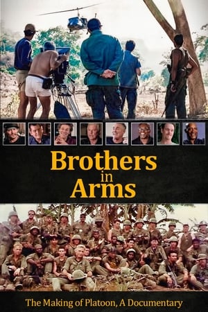 watch Brothers in Arms