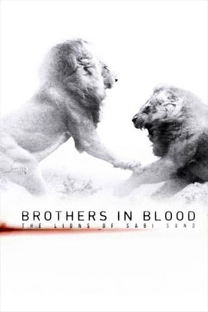 watch Brothers in Blood: The Lions of Sabi Sand