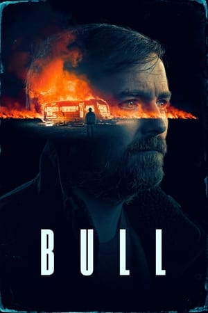 Bull watch Bull