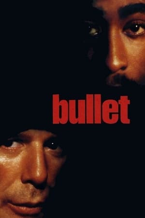 Bullet watch Bullet