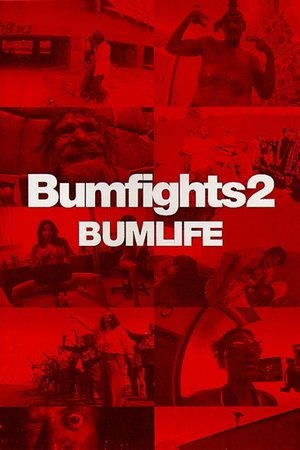 Bumfights Vol. 2: Bumlife watch Bumfights Vol. 2: Bumlife