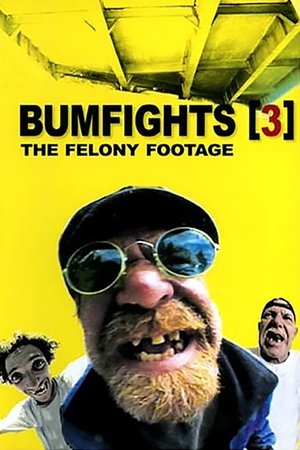 Bumfights Vol. 3: The Felony Footage watch Bumfights Vol. 3: The Felony Footage