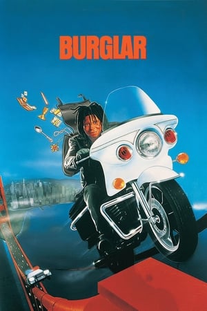 Burglar watch Burglar