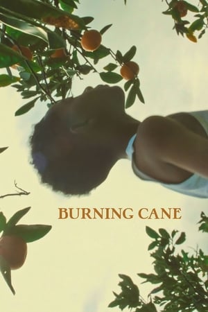 watch Burning Cane