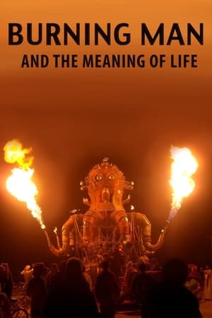 Burning Man and the Meaning of Life watch Burning Man and the Meaning of Life