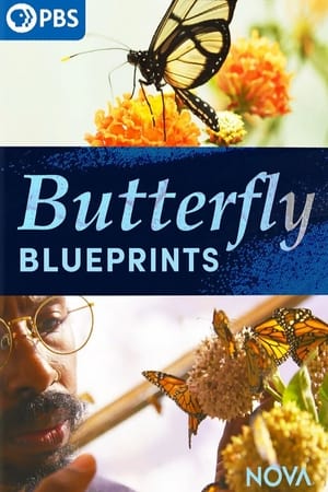 Butterfly Blueprints watch Butterfly Blueprints