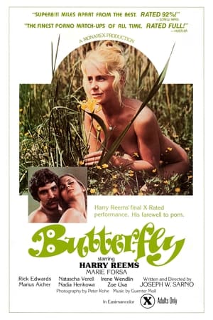 Butterfly watch Butterfly