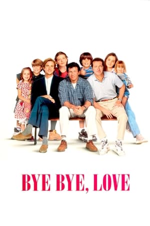 Bye Bye Love watch Bye Bye Love
