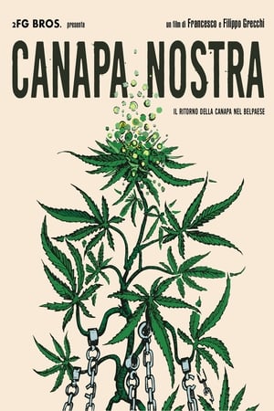 Canapa Nostra watch Canapa Nostra