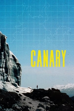 Canary watch Canary