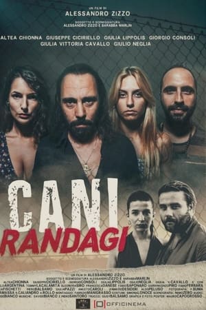 Cani randagi watch Cani randagi
