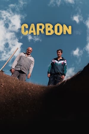 Carbon watch Carbon