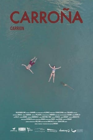 Carrion watch Carrion