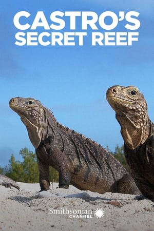 Castro's Secret Reef watch Castro's Secret Reef