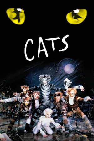 Cats watch Cats