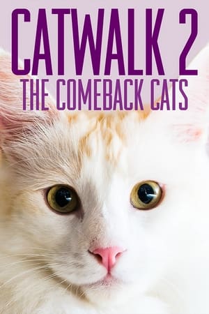 Catwalk 2: The Comeback Cats watch Catwalk 2: The Comeback Cats