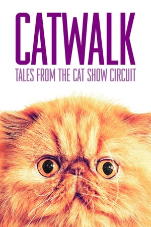 Catwalk: Tales from the Catshow Circuit watch Catwalk: Tales from the Catshow Circuit