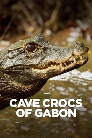Cave Crocs of Gabon watch Cave Crocs of Gabon