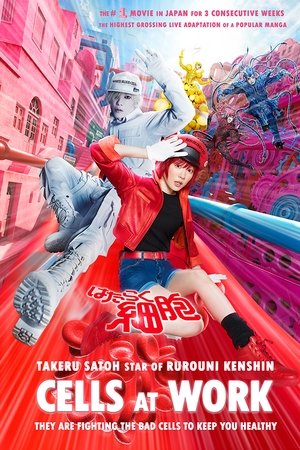 Cells at Work! watch Cells at Work!