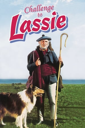 Challenge to Lassie watch Challenge to Lassie