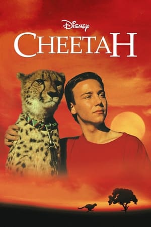 Cheetah watch Cheetah