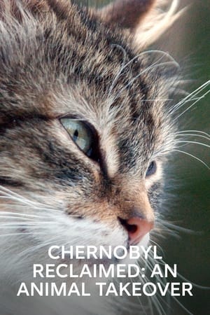 Chernobyl Reclaimed: An Animal Takeover watch Chernobyl Reclaimed: An Animal Takeover