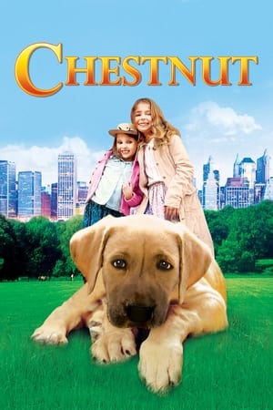 Chestnut: Hero of Central Park watch Chestnut: Hero of Central Park