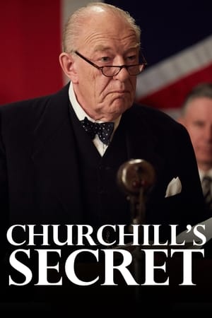 watch Churchill's Secret