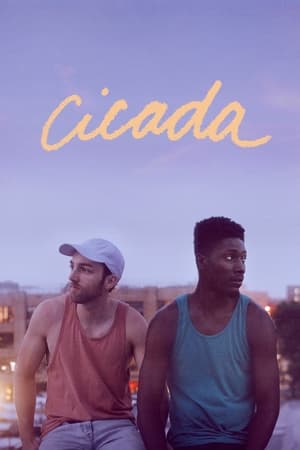 Cicada watch Cicada