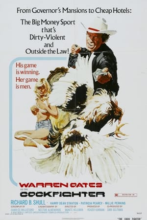 watch Cockfighter