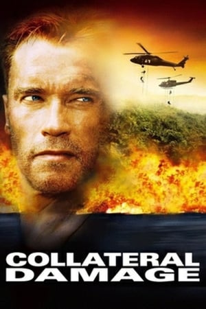 Collateral Damage watch Collateral Damage