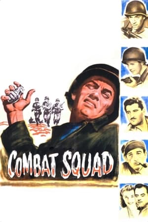 watch Combat Squad
