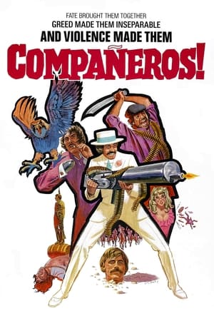 Compañeros watch Compañeros