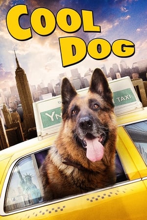 Cool Dog watch Cool Dog